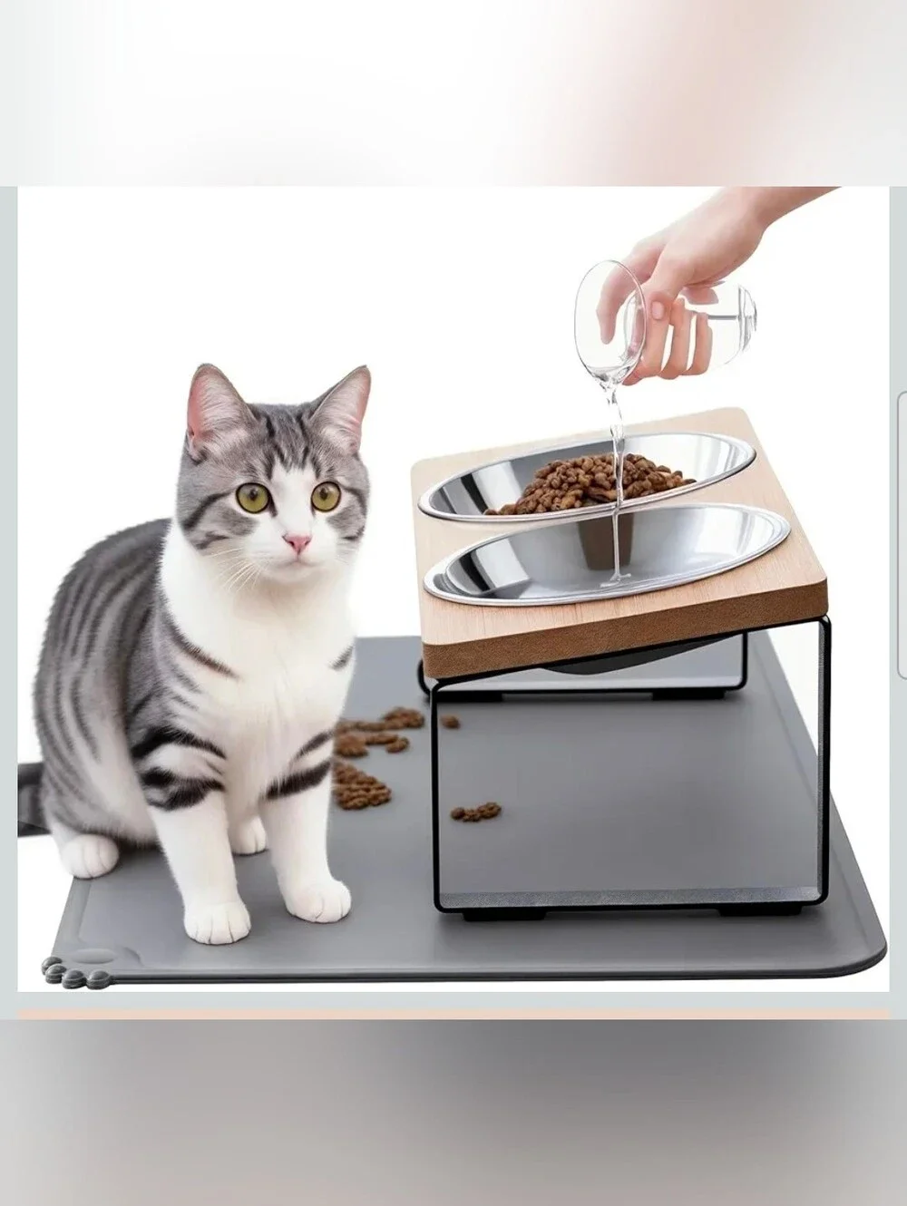 Elevated Cat Bowls with Food Mat,15°Tilted Stand Anti Vomiting Raised Cat Dishes